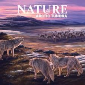 Nature: Arctic Tundra