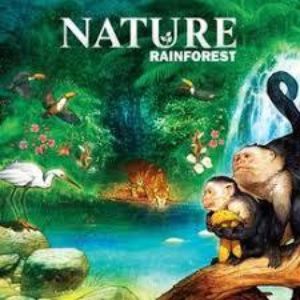 Nature: Amazon Rainforest